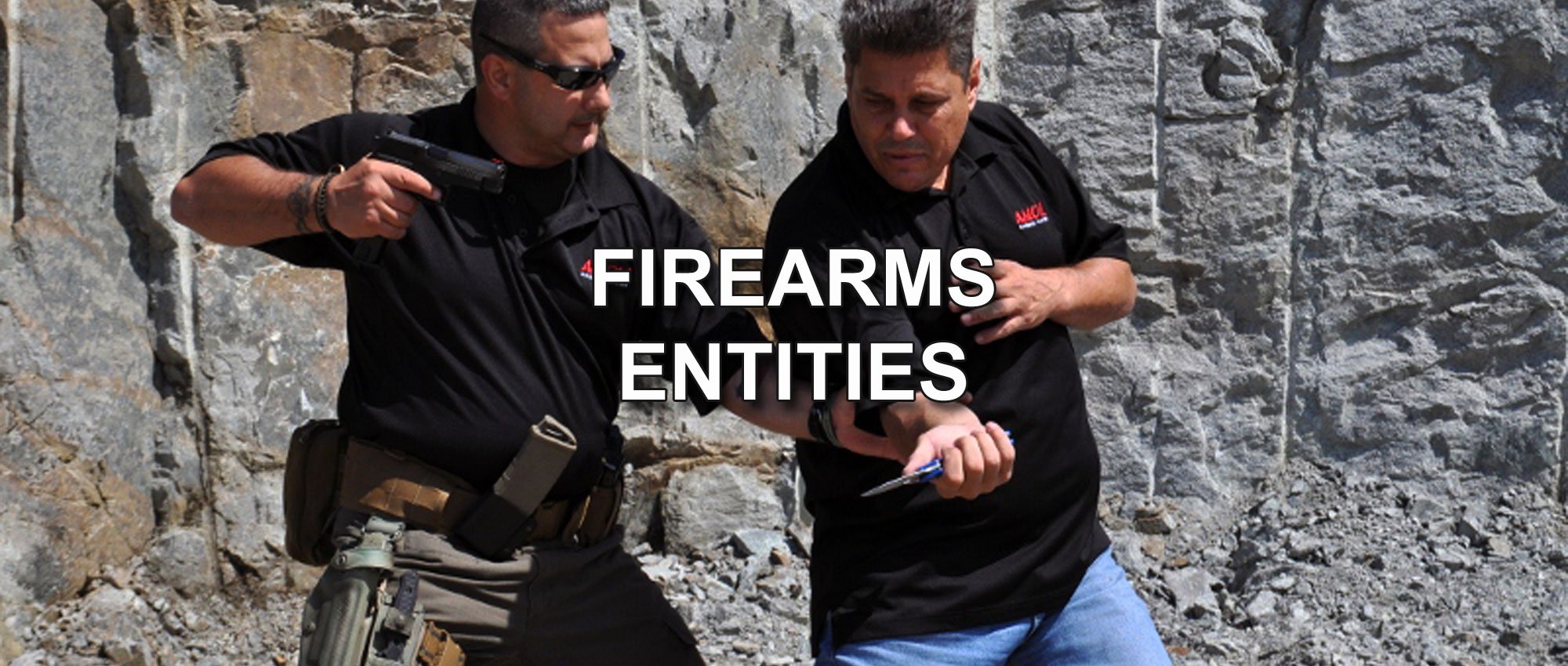 firearms-entities-banner