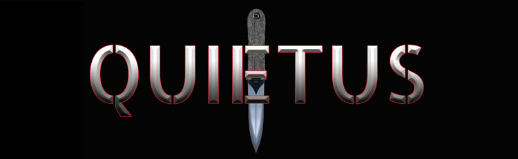 Q-logo-long-2026-750