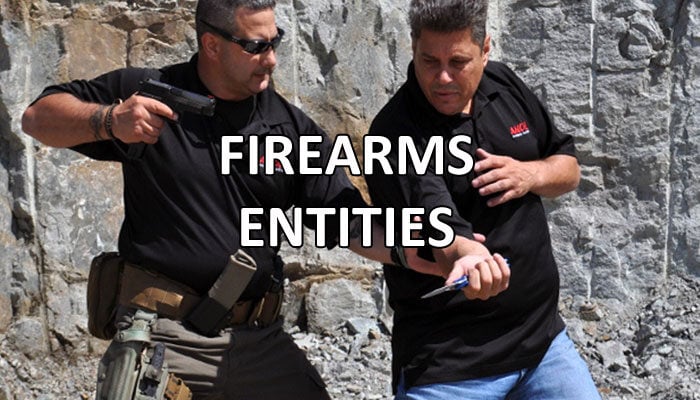 firearms-entities